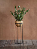 Nkuku Atsu antique brass planter and stand - British product