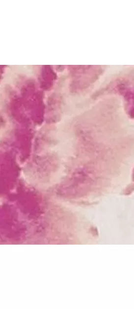 Designers Guild Kyoto Flower Wallpaper