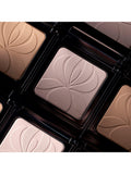 Sisley-Paris pressed powder Blur Expert 0 Light 11g - British product