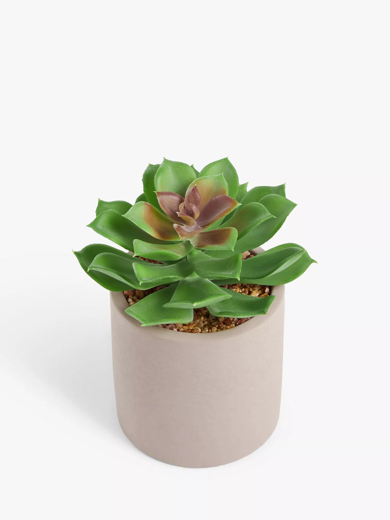 John Lewis Artificial Low Leaved Succulent & Concrete Pot