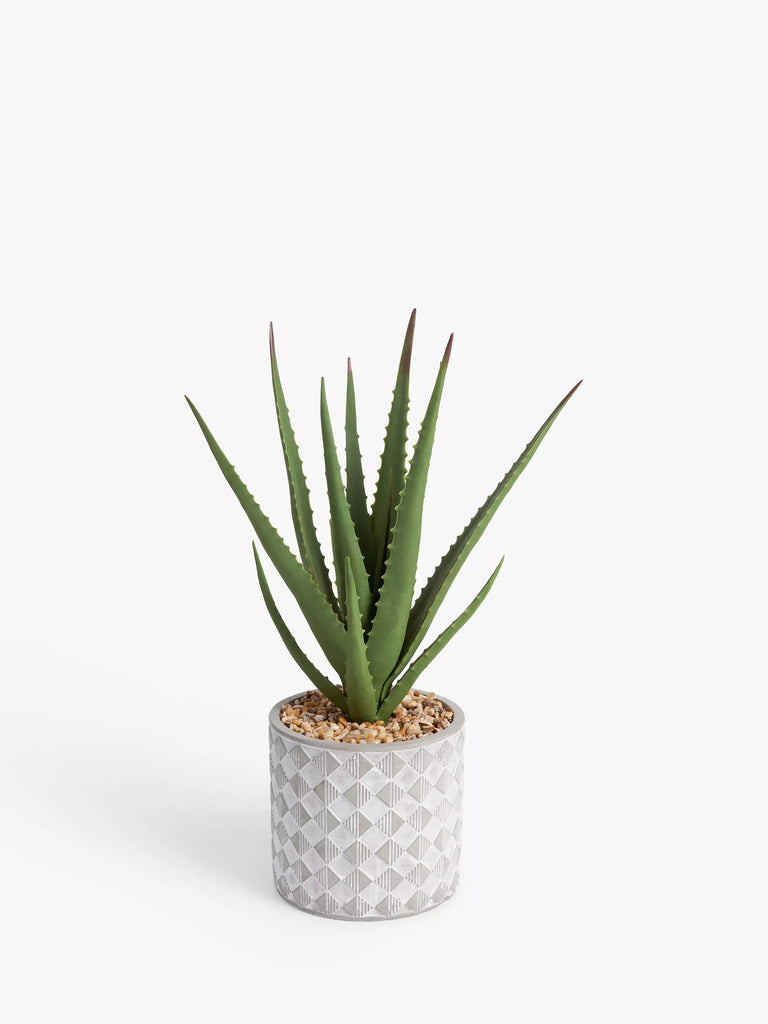 John Lewis Artificial Large Aloe Plant & Concrete Pot