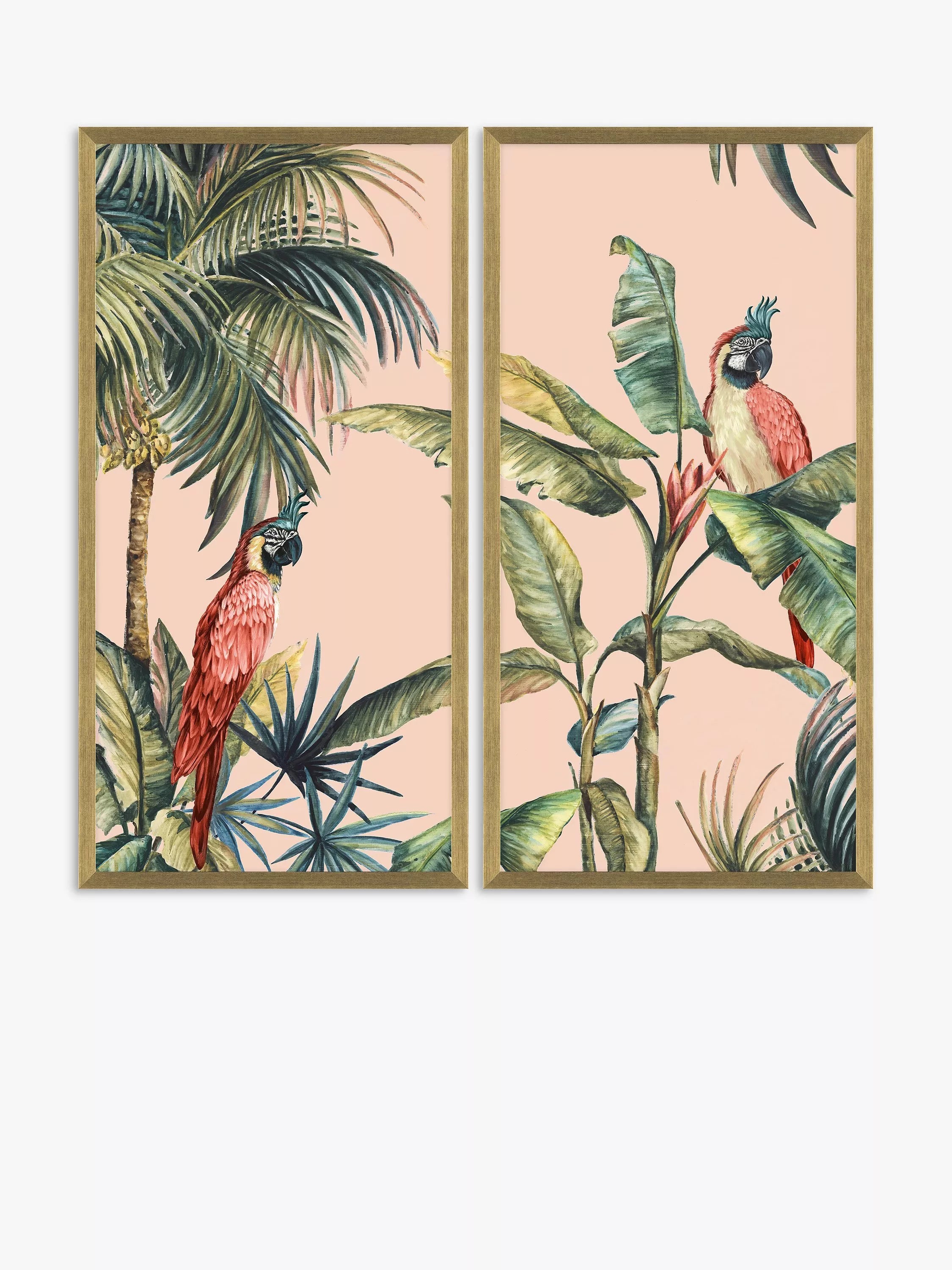 John Lewis Tropica II framed prints set of 2 82x42cm, UK version