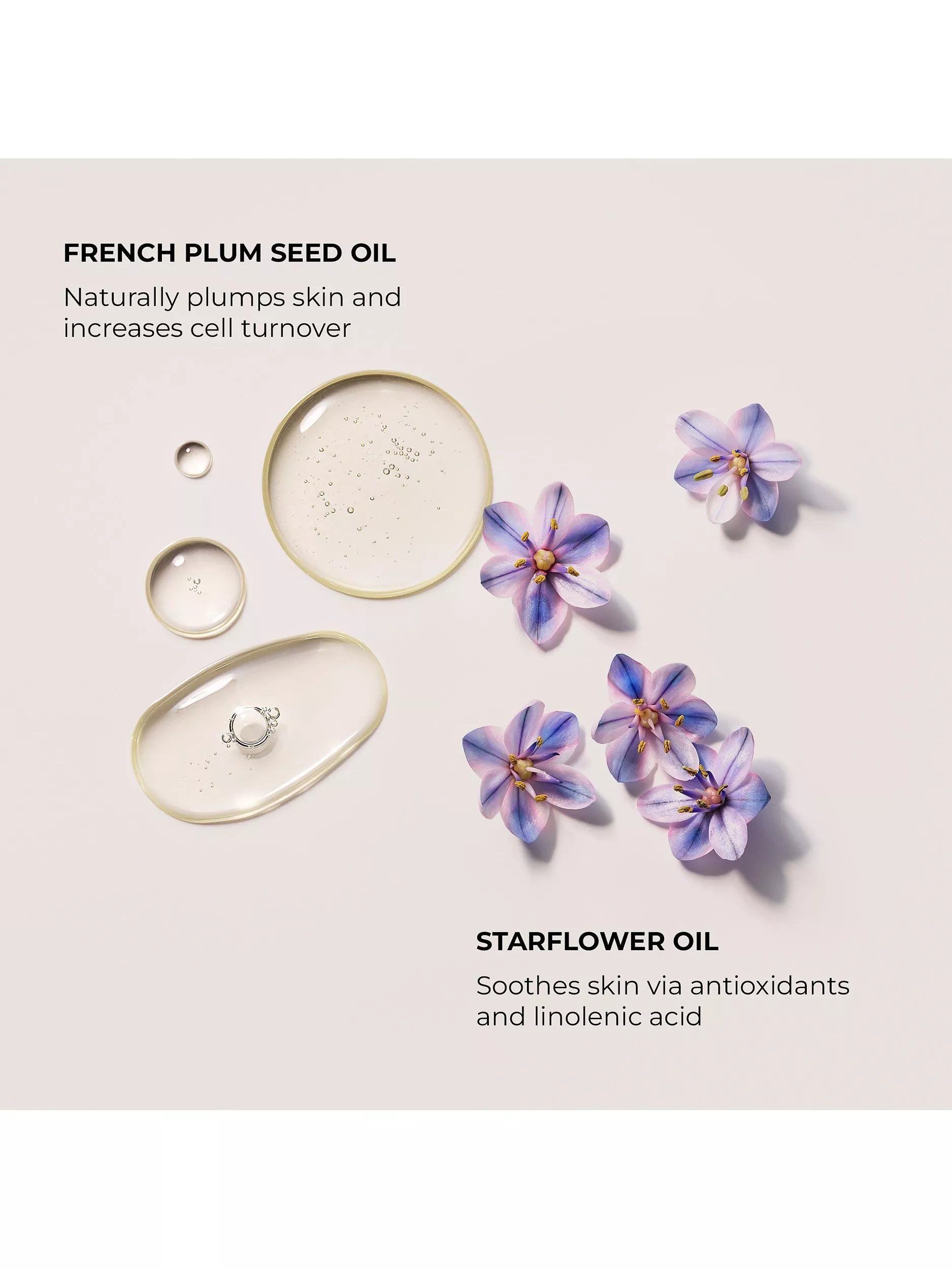 Laura Mercier almond coconut aromatic bath and body oil 100ml, UK version