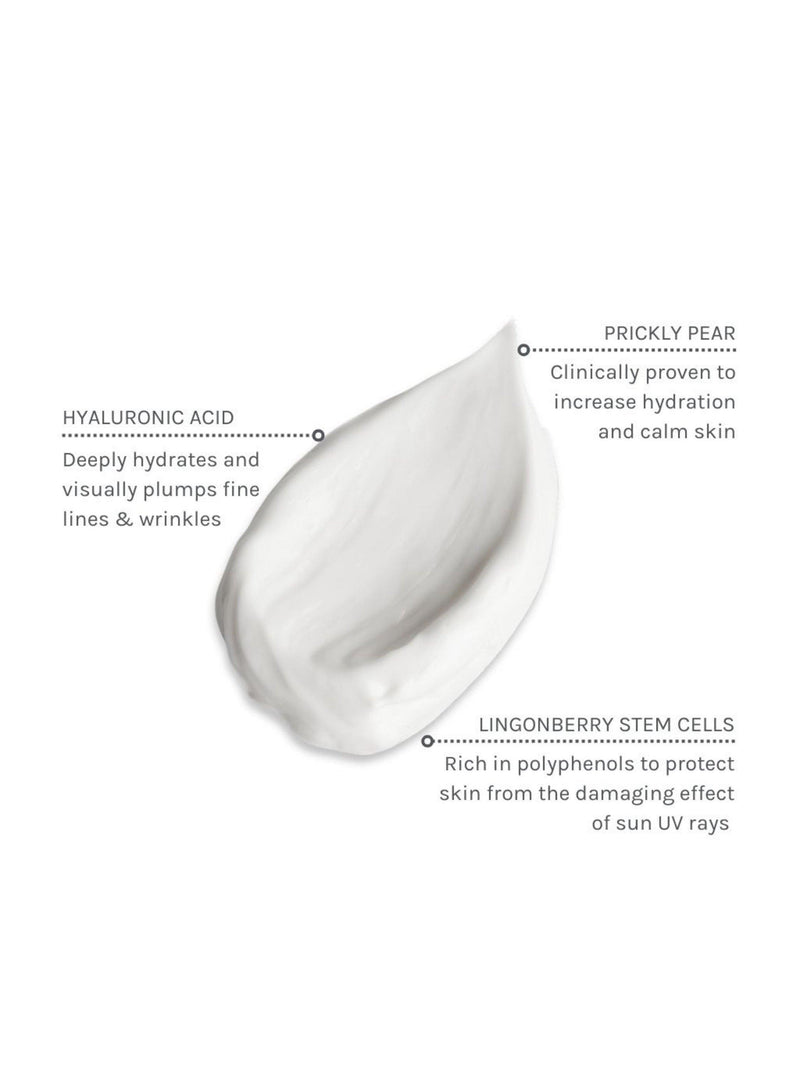 Evolve Organic Beauty SPF 30 facial cream 40ml - British product