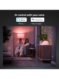 Philips Hue smart plug pack of 2 white (British brand)