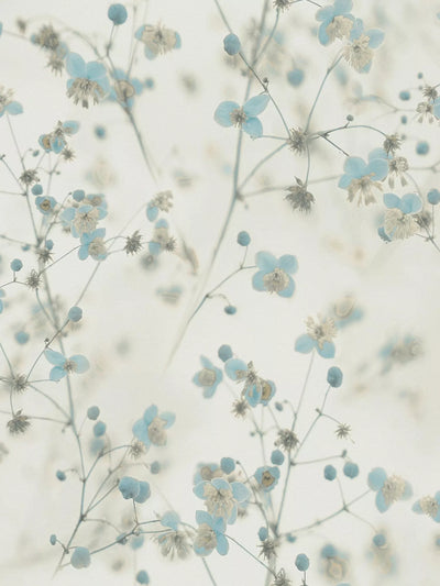 John Lewis Galerie Delicate Buttercup Motif Wallpaper, 10.05m x 53cm- Buy online at McGrocer