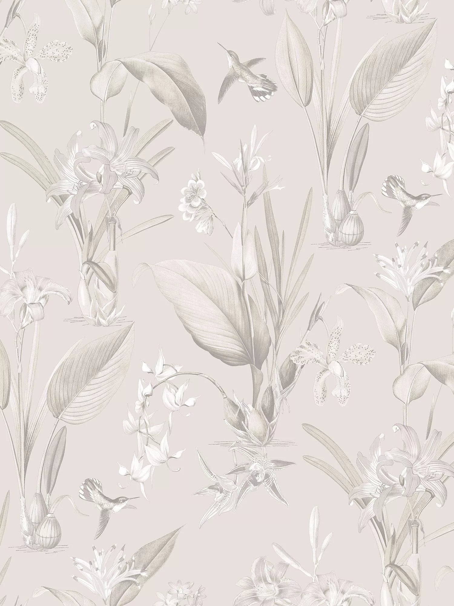 Galerie Cottage Botanical Wallpaper, G78503