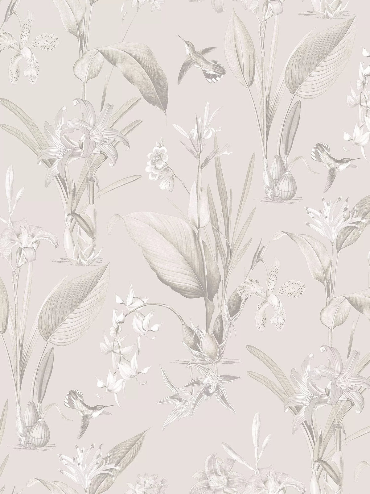 Galerie Cottage Botanical Wallpaper, G78503