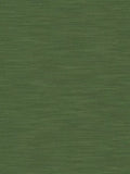 Designers Guild Pampas Furnishing Fabric