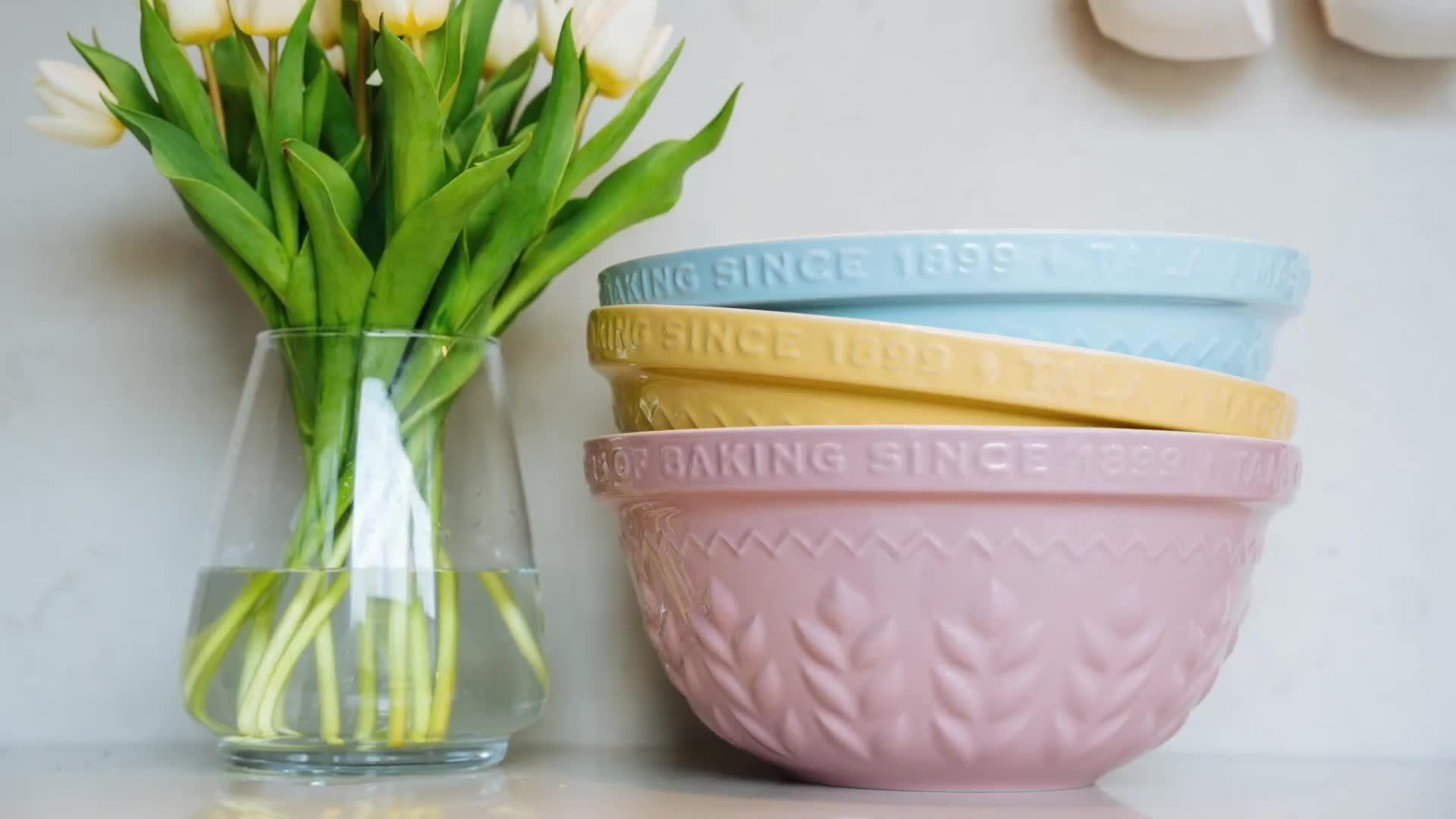 Tala self-raising flour storage tin pale blue cream, UK version