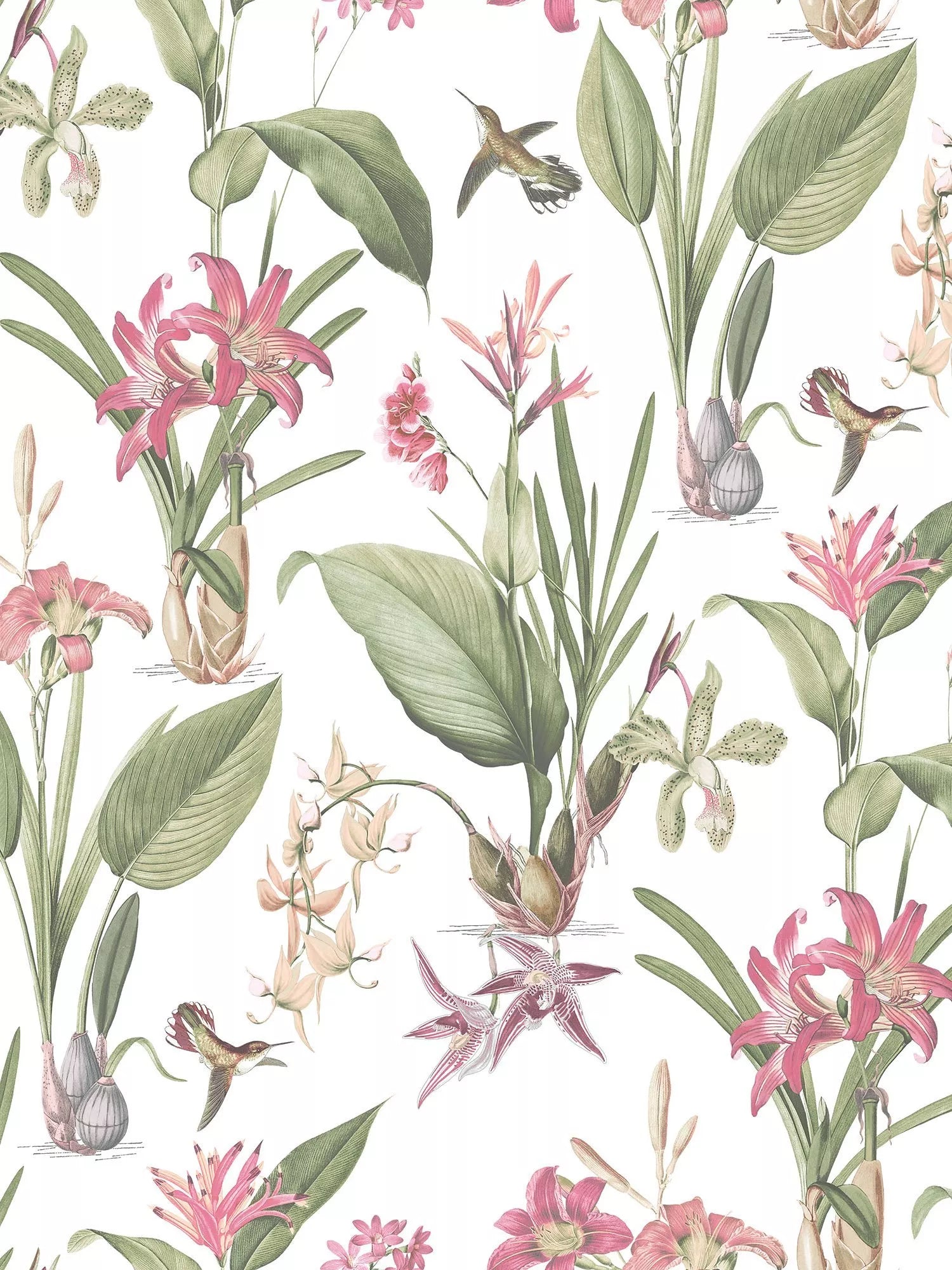 Galerie Cottage Botanical Wallpaper, G78506