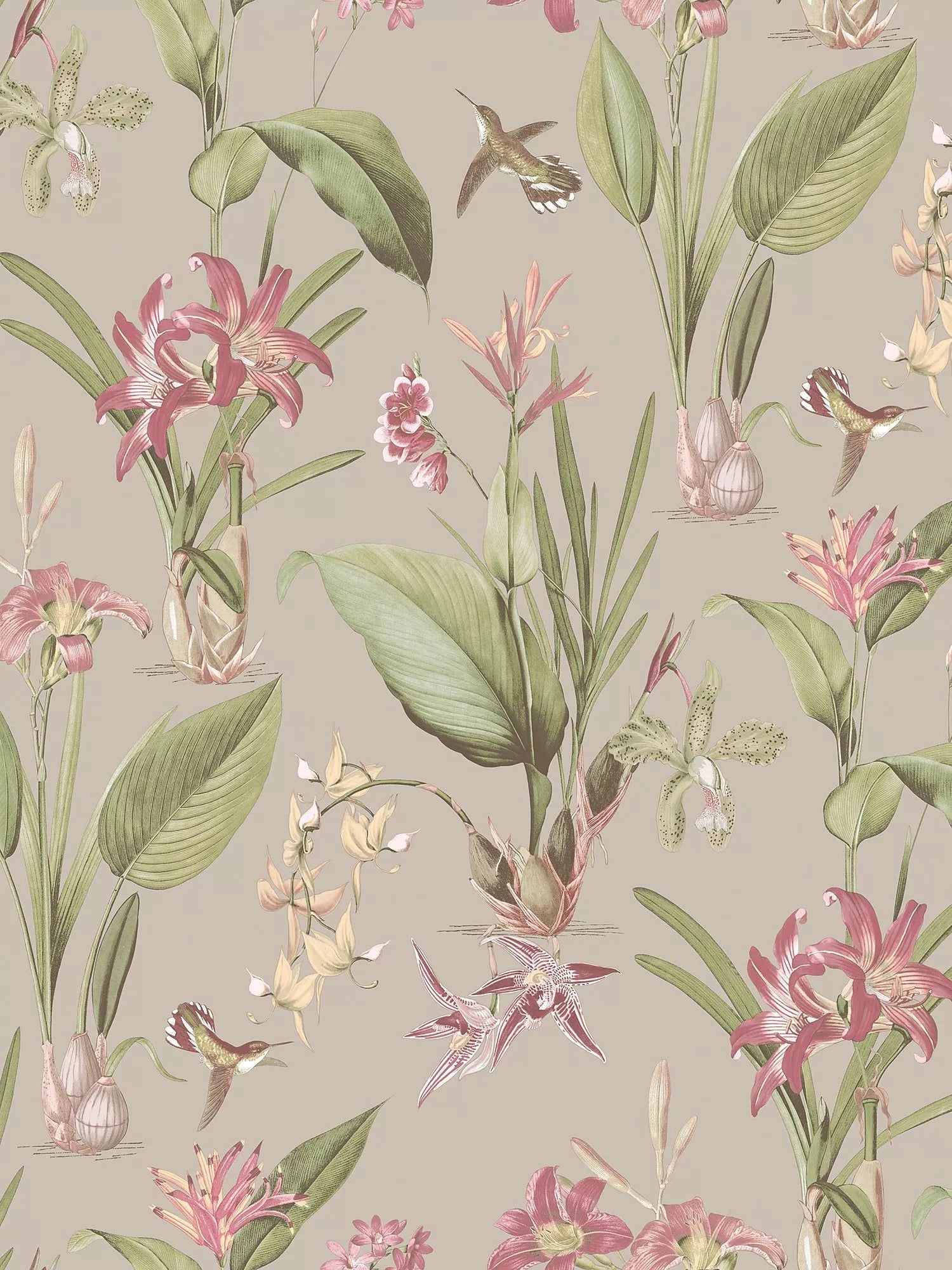 Galerie Cottage Botanical Wallpaper, G78507