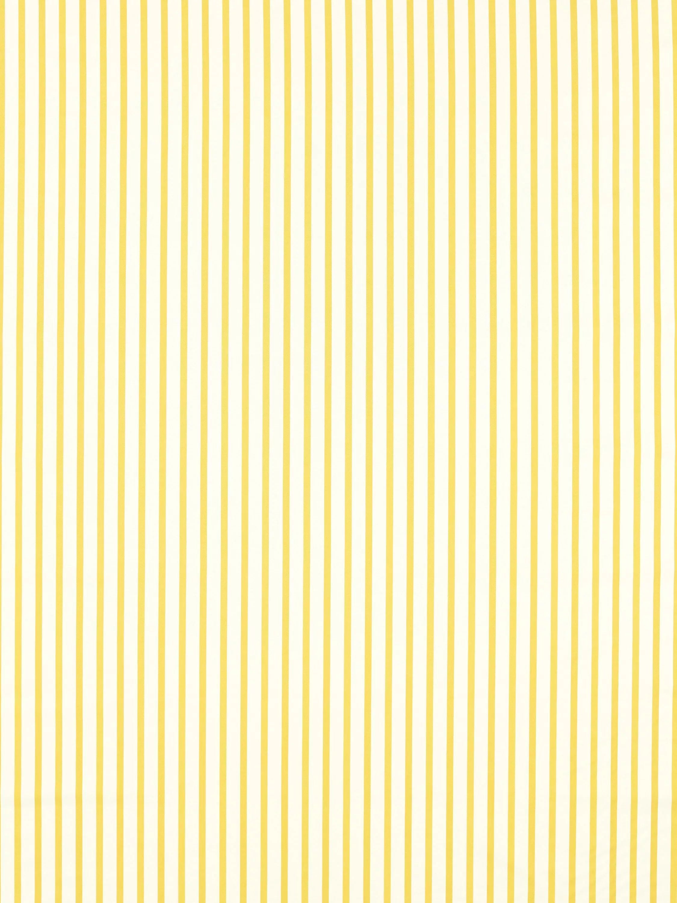 Harlequin Ribbon Stripe Fabric 138cm x 30m