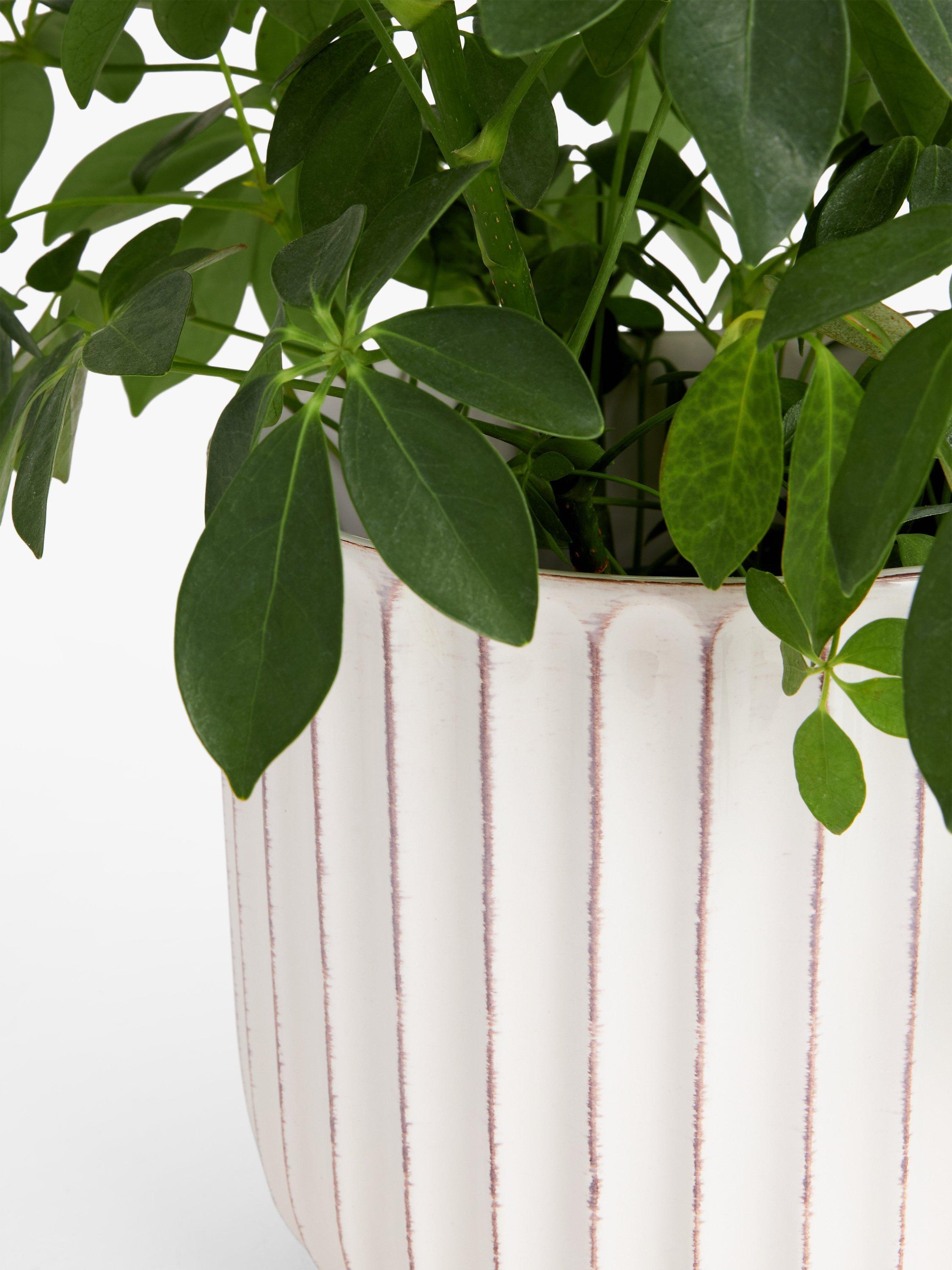 John Lewis indoor planter Country Ribbed White 23cm, imported from the UK
