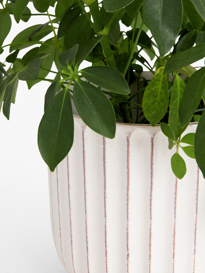 John Lewis indoor planter Country Ribbed White 23cm, imported from the UK