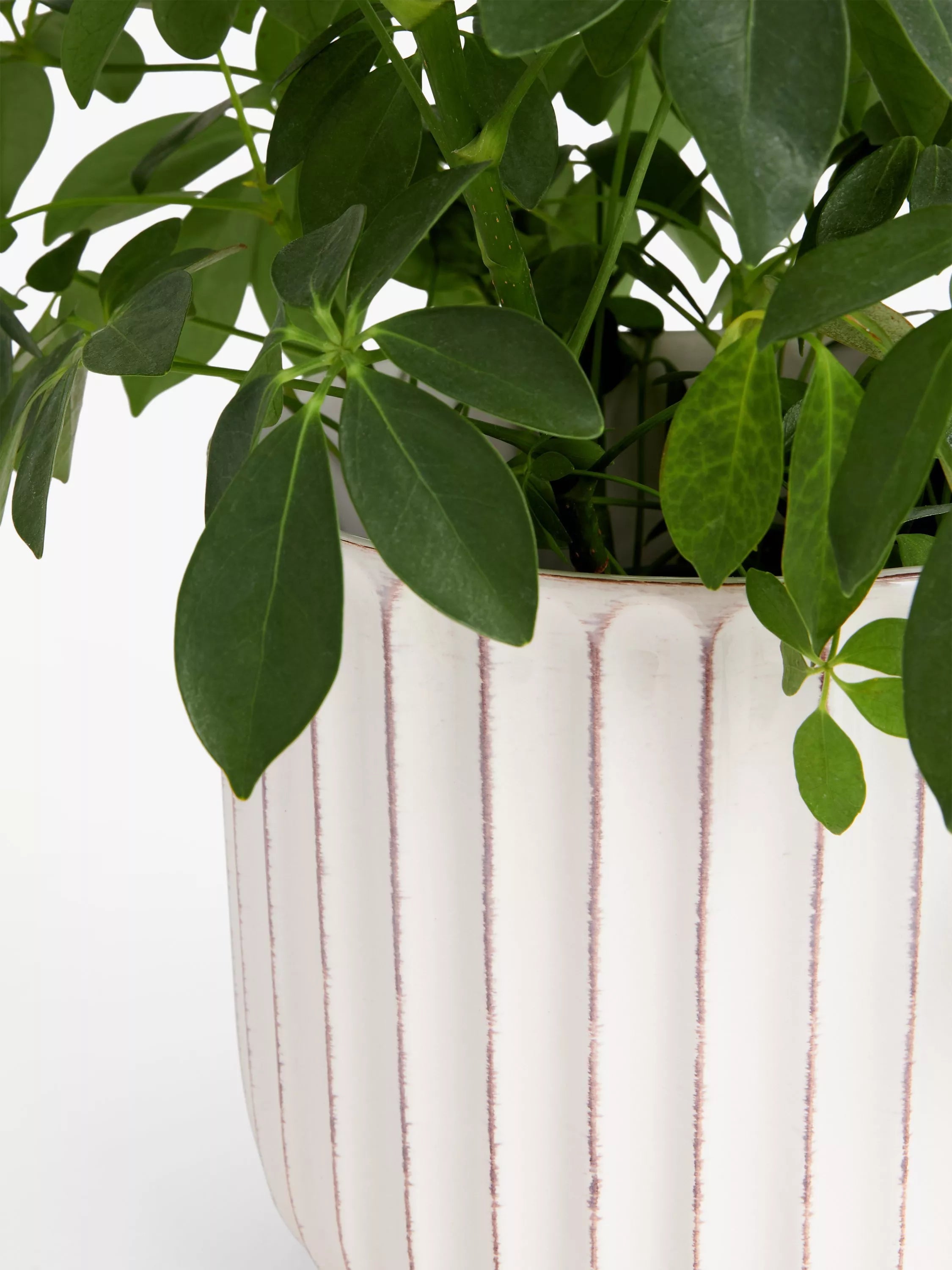 John Lewis indoor planter Country Ribbed White 23cm, imported from the UK