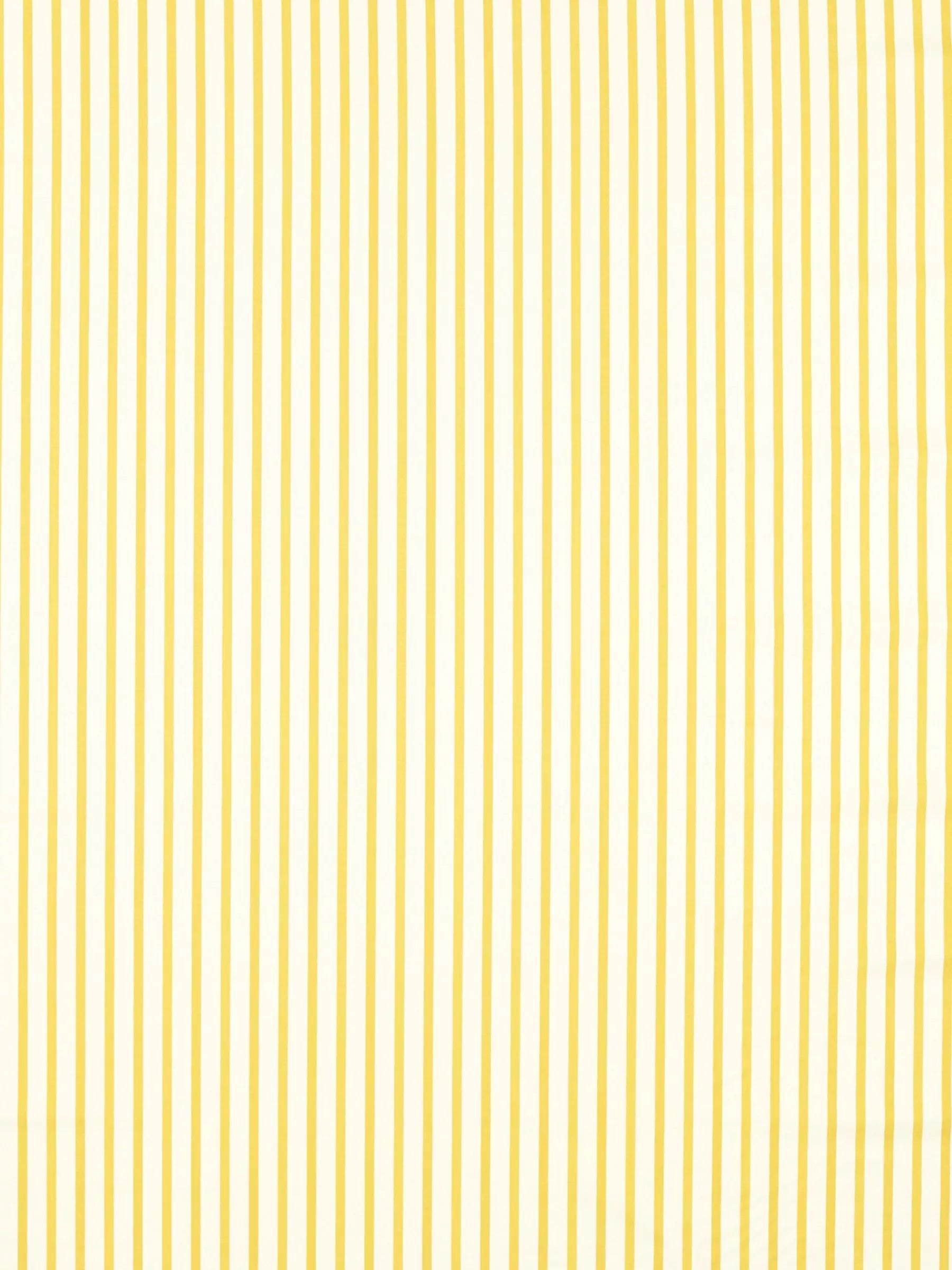 Harlequin Ribbon Stripe curtain roman blind Citrine British brand