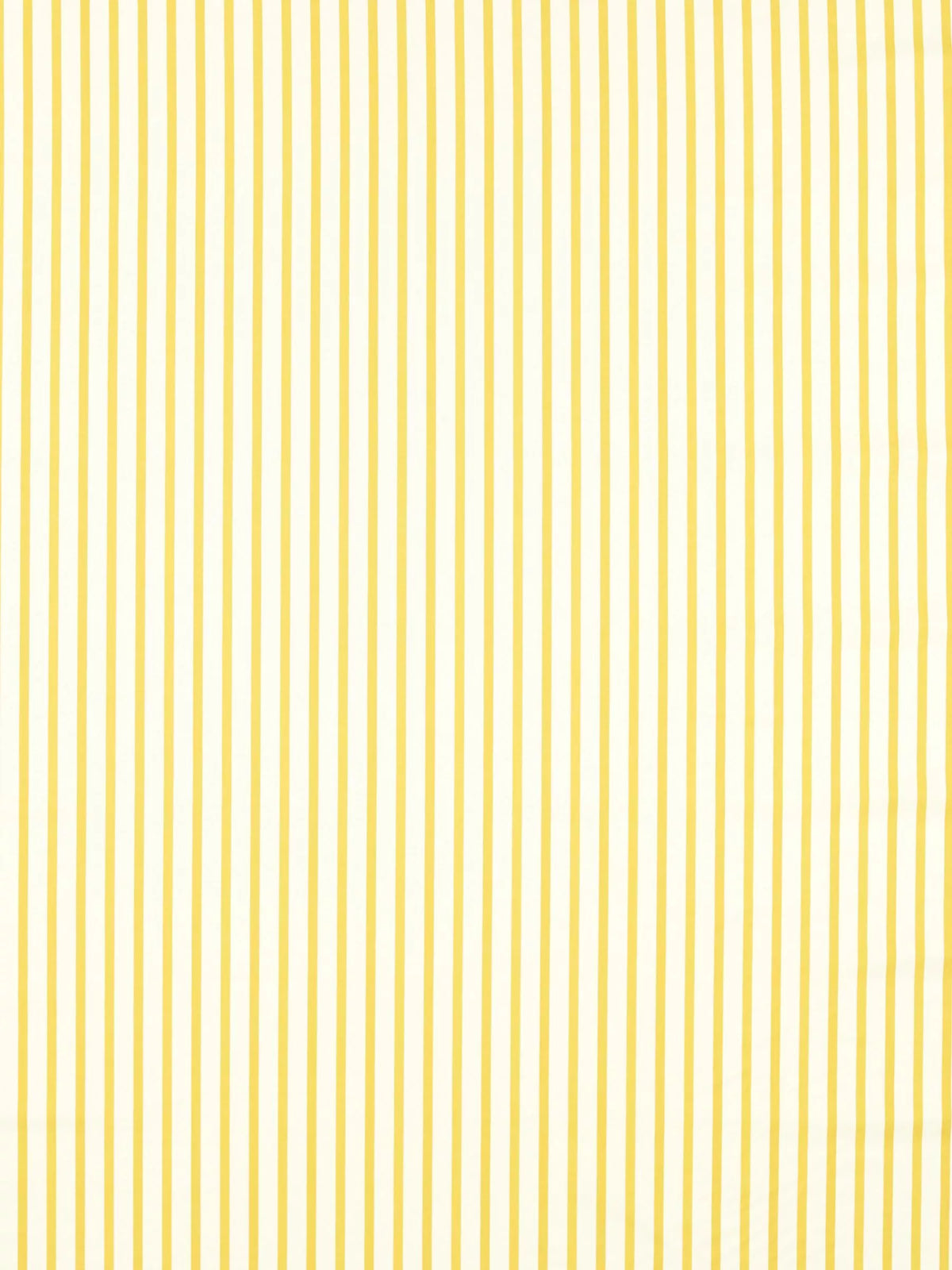 Harlequin Ribbon Stripe curtain roman blind Citrine British brand