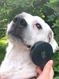 Kikkerland Kobe dog spa kit, UK version