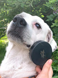Kikkerland Kobe dog spa kit, UK version