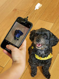 Kikkerland Kobe Dog Treat Selfie Clip, UK version
