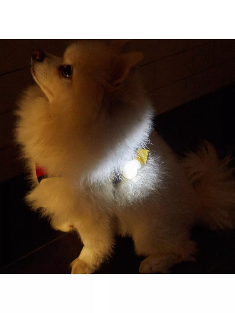 Kikkerland light-up dog name tag for nighttime walks, UK version