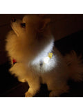 Kikkerland light-up dog name tag for nighttime walks, UK version