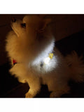 Kikkerland light-up dog name tag for nighttime walks, UK version