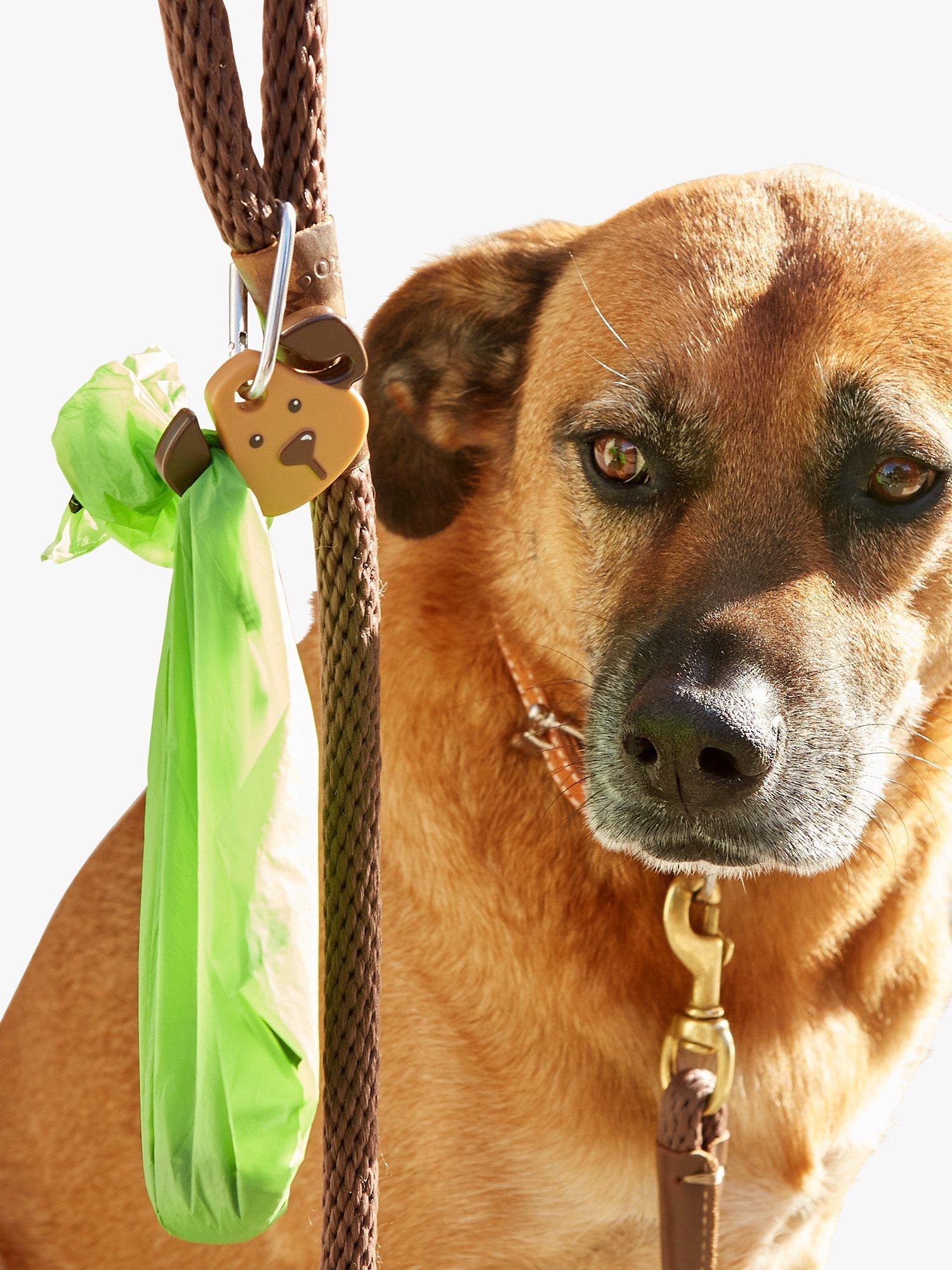 Kikkerland Kobe dog keyring light, UK version