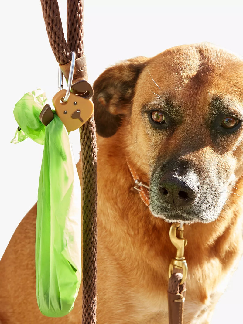 Kikkerland Kobe dog keyring light, UK version