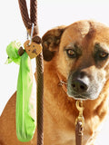 Kikkerland Kobe dog keyring light, UK version