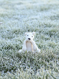 TOFT Mini Piotr Polar Bear crochet kit (British brand)