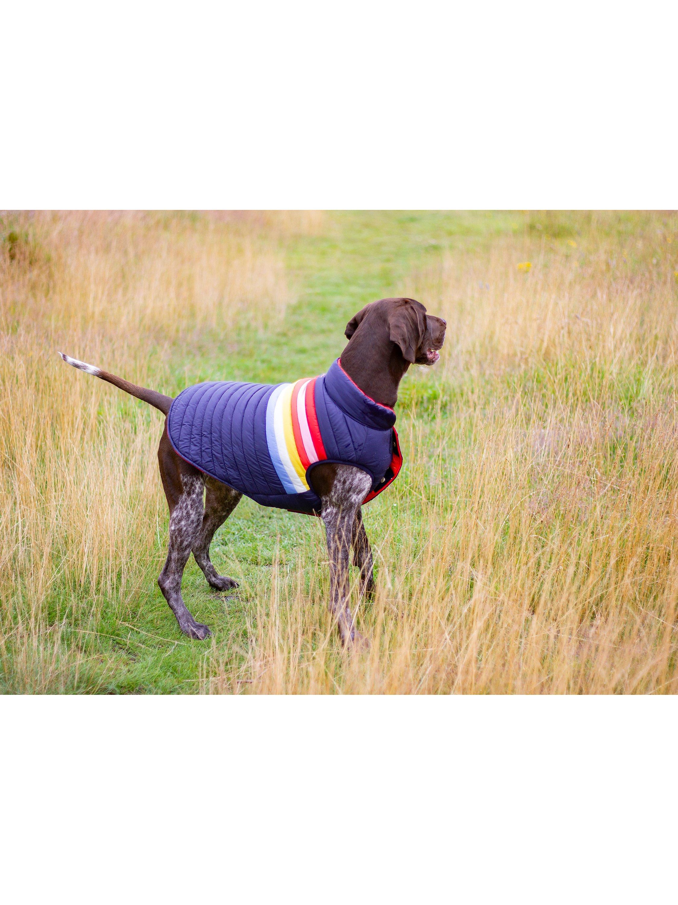 Joules Hundemantel Regenbogenstreifen Multi, UK-Version
