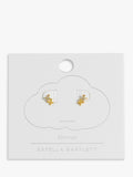 Estella Bartlett Stern Zirkonia Ohrstecker Gold - Britisches Produkt