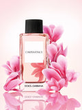 Dolce & Gabbana L'Imperatrice Eau de Toilette fragrance 100ml - British product