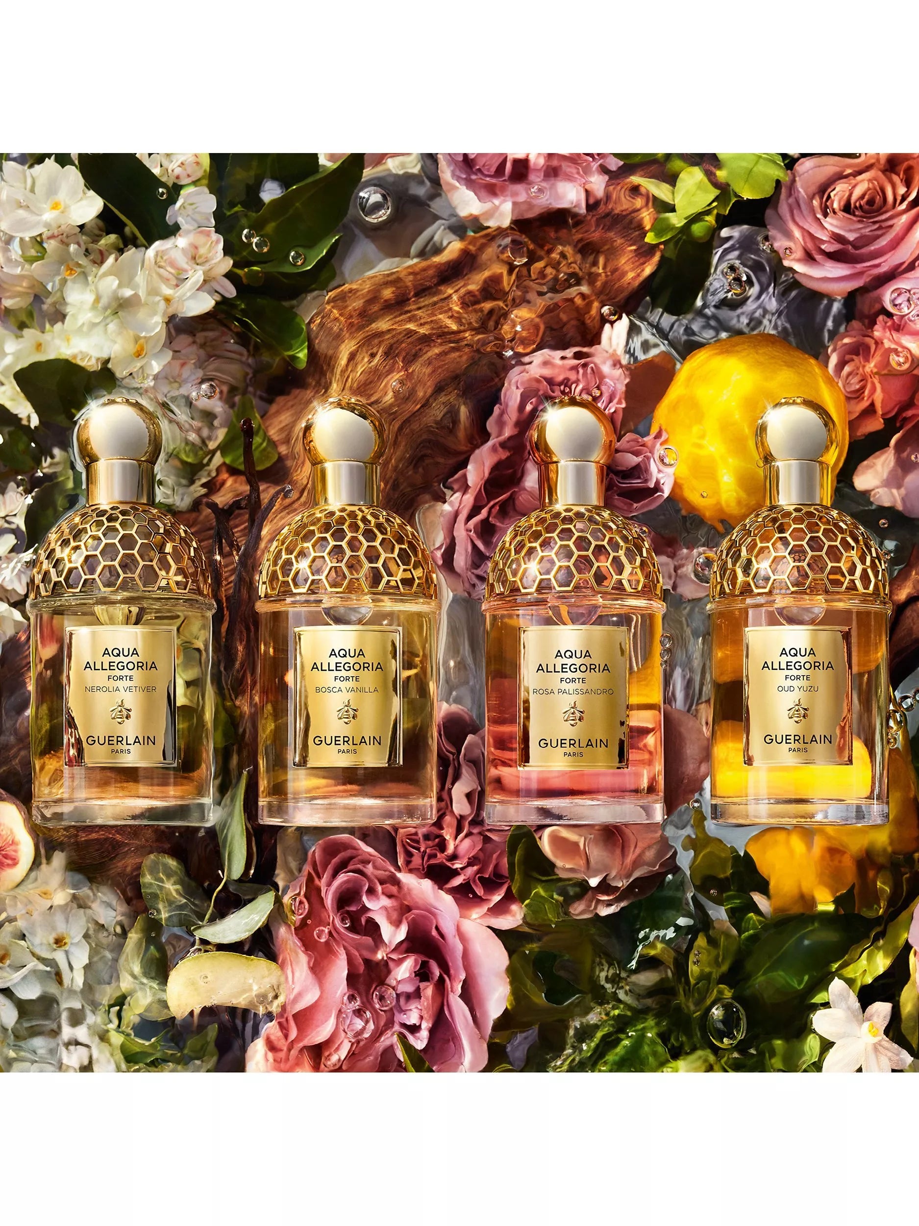 Guerlain Aqua Allegoria Forte Rosa Palissandro Eau de Parfum 75ml, UK version