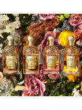 Guerlain Aqua Allegoria Forte Rosa Palissandro Eau de Parfum 75ml, UK version