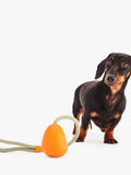 Beco Pets Slinger Pebble Dog Toy 138g Orange, imported from the UK