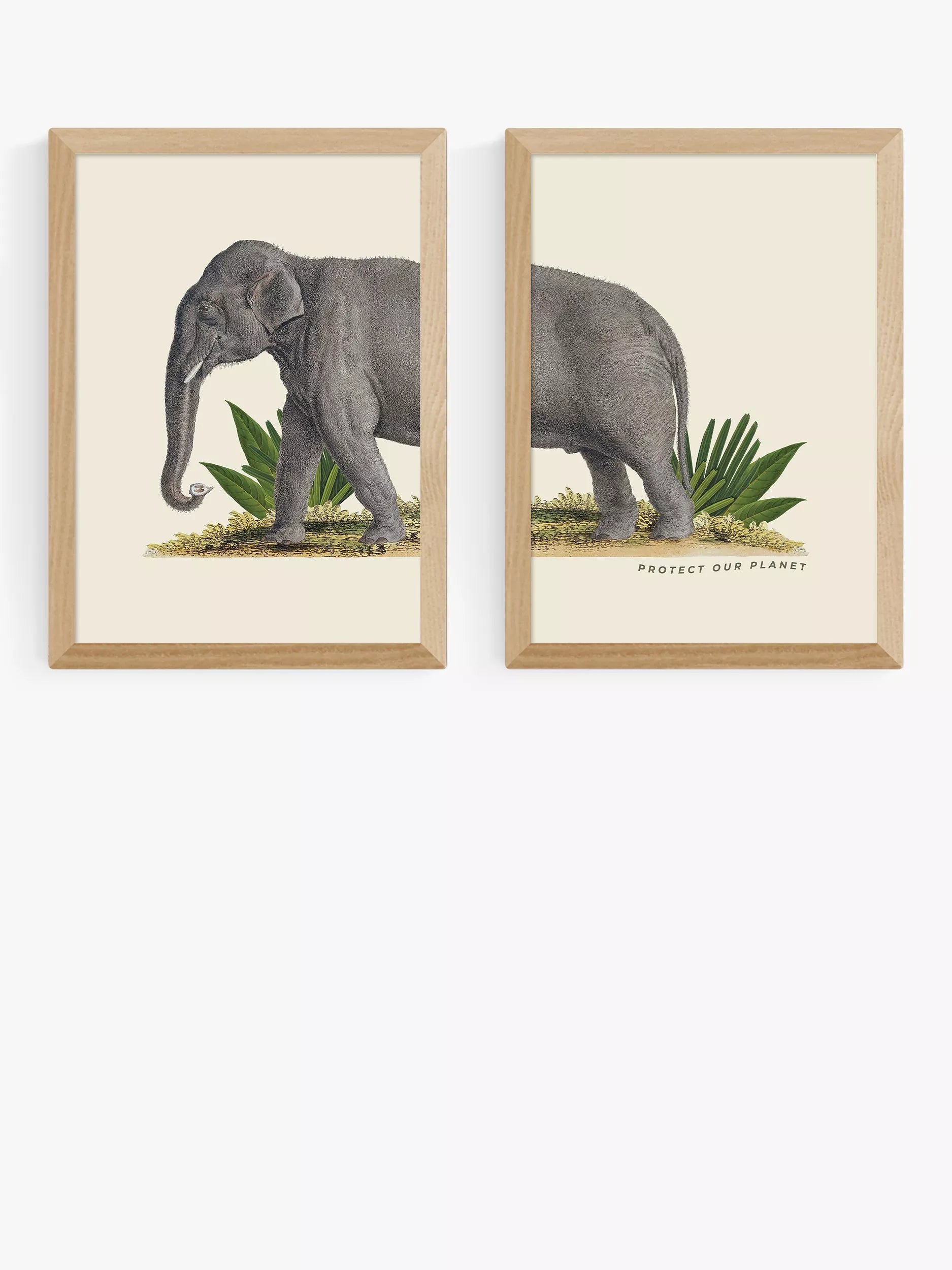 EAST END PRINTS Natural History Museum Elefant gerahmter Druck Set von 2 (A2)
