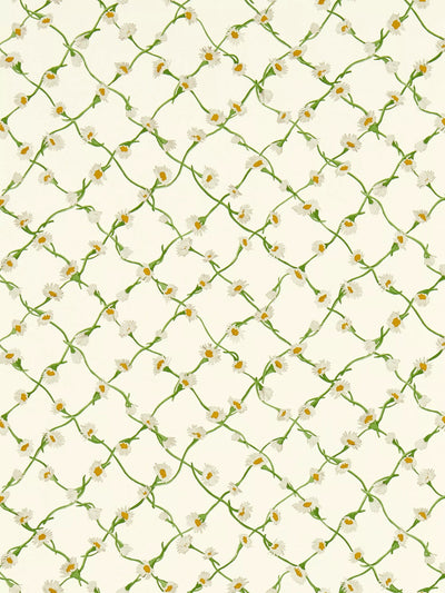 Harlequin x Sophie Robinson Gänseblümchen-Gitter Tapete