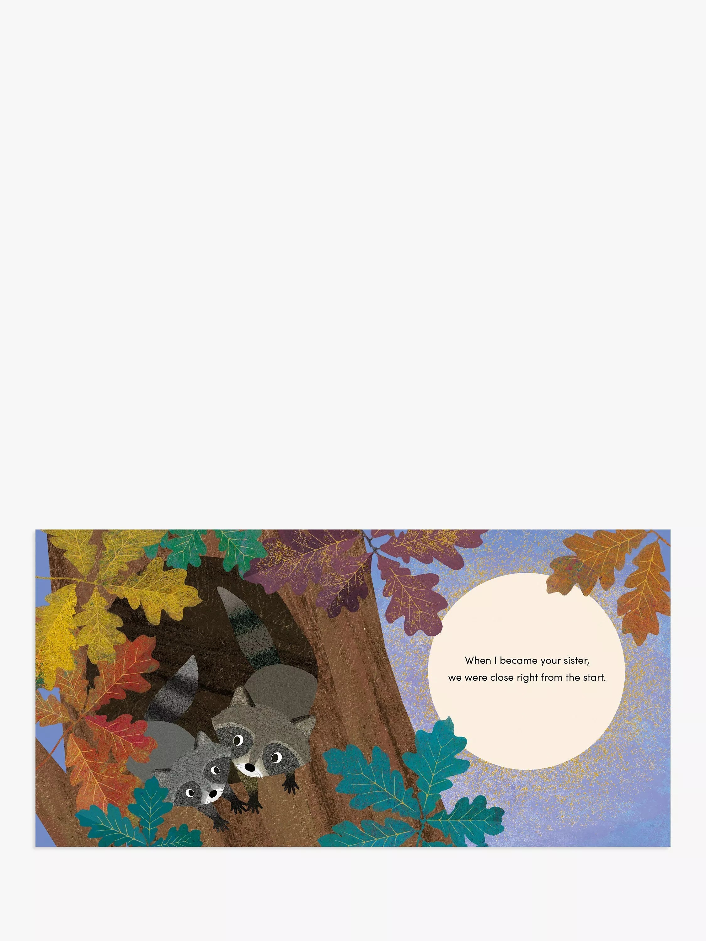Nosy Crow When I Became Your Sister picture book hardback - British product