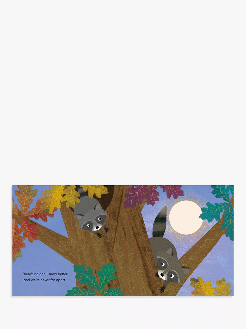 Nosy Crow When I Became Your Sister picture book hardback - British product