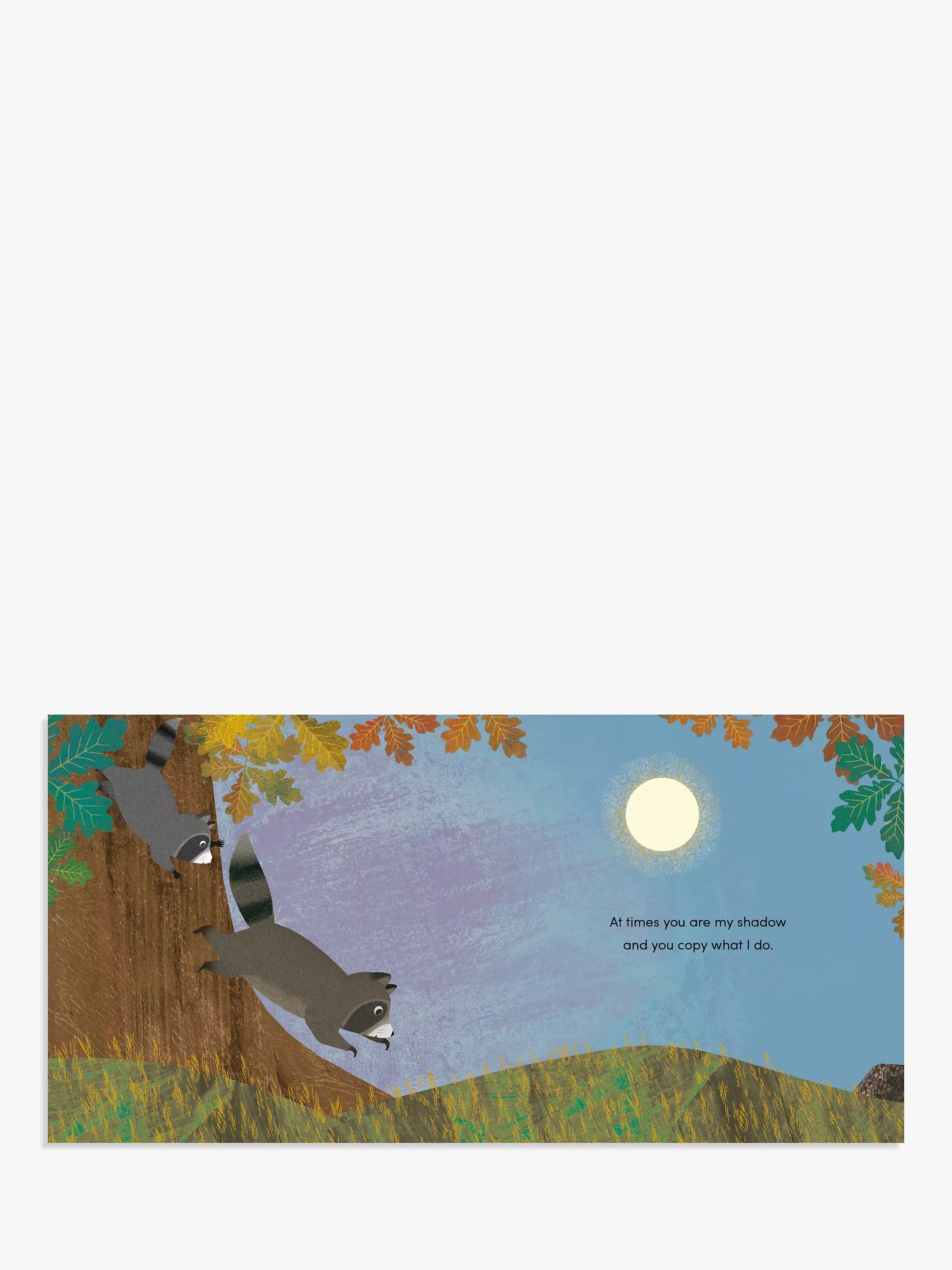 Nosy Crow When I Became Your Sister picture book hardback - British product
