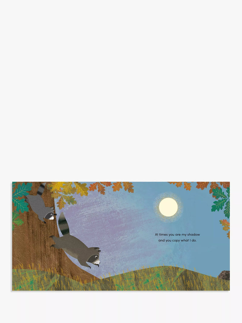 Nosy Crow When I Became Your Sister picture book hardback - British product