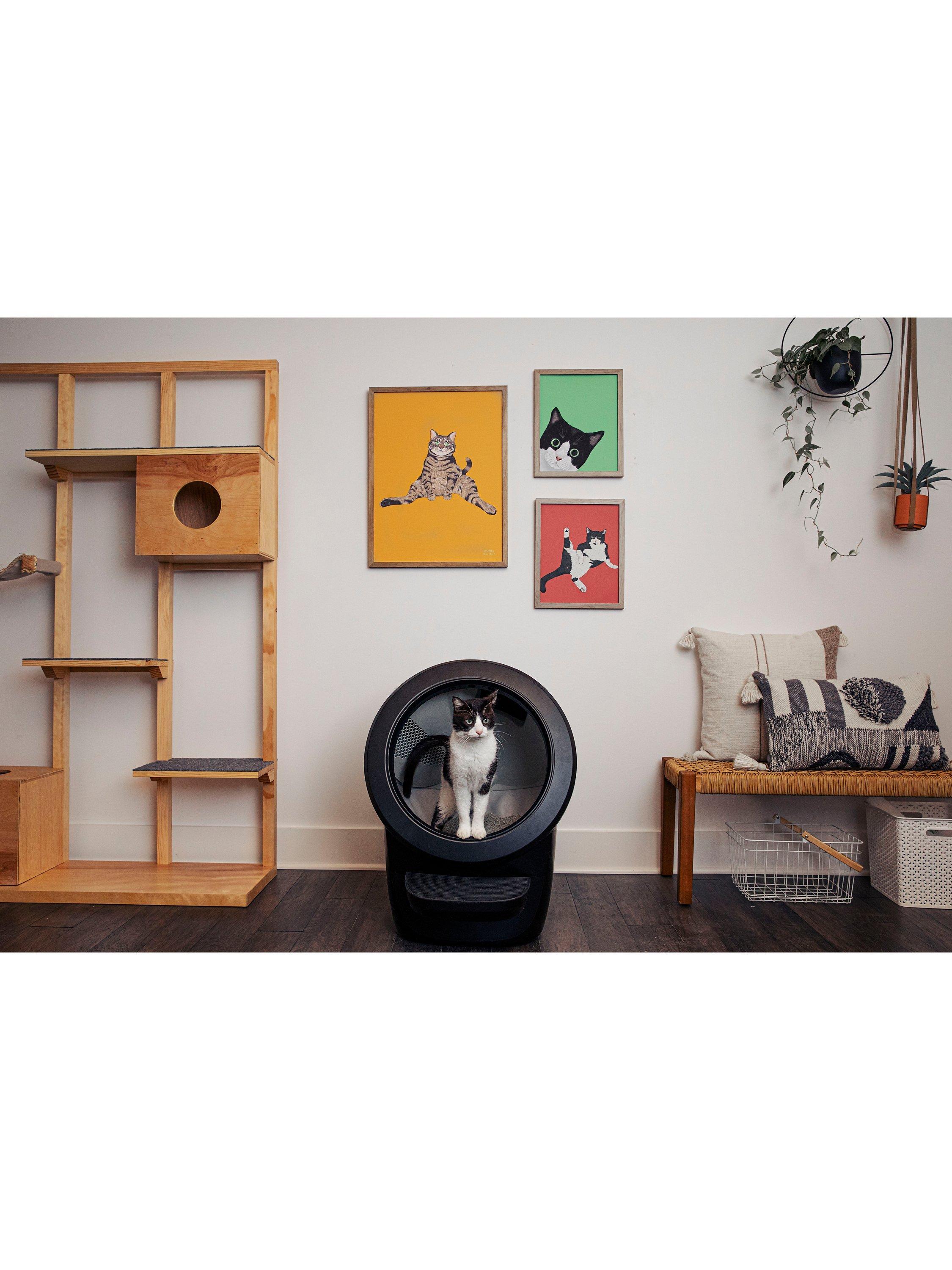 Litter-Robot 4 Intelligente Katzentoilette