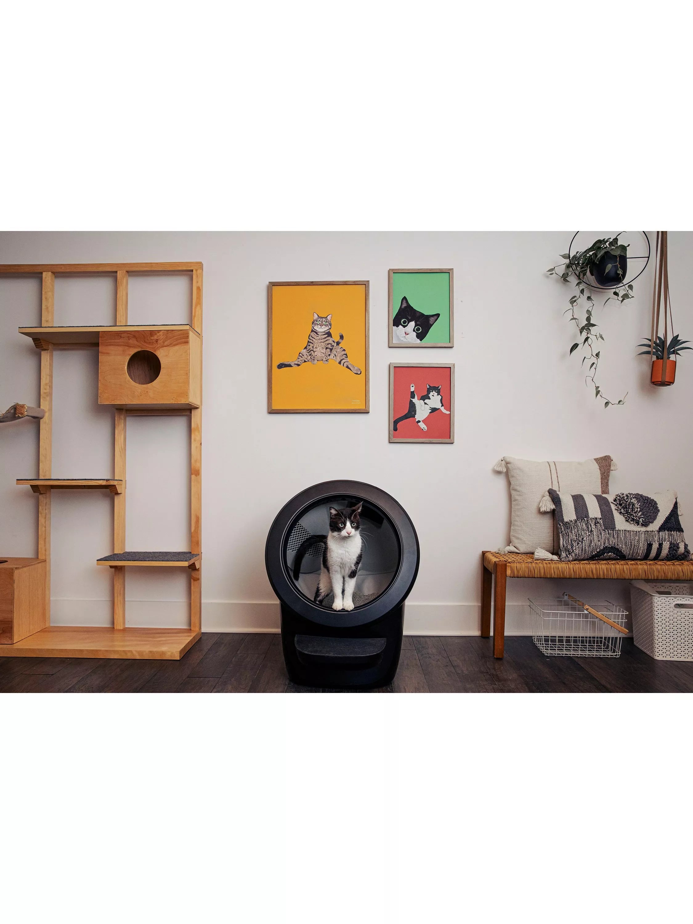 Litter-Robot 4 smart cat litter tray, UK version