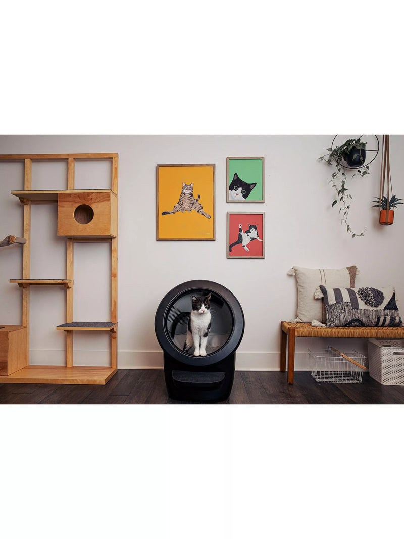 Litter-Robot 4 smart cat litter tray, UK version