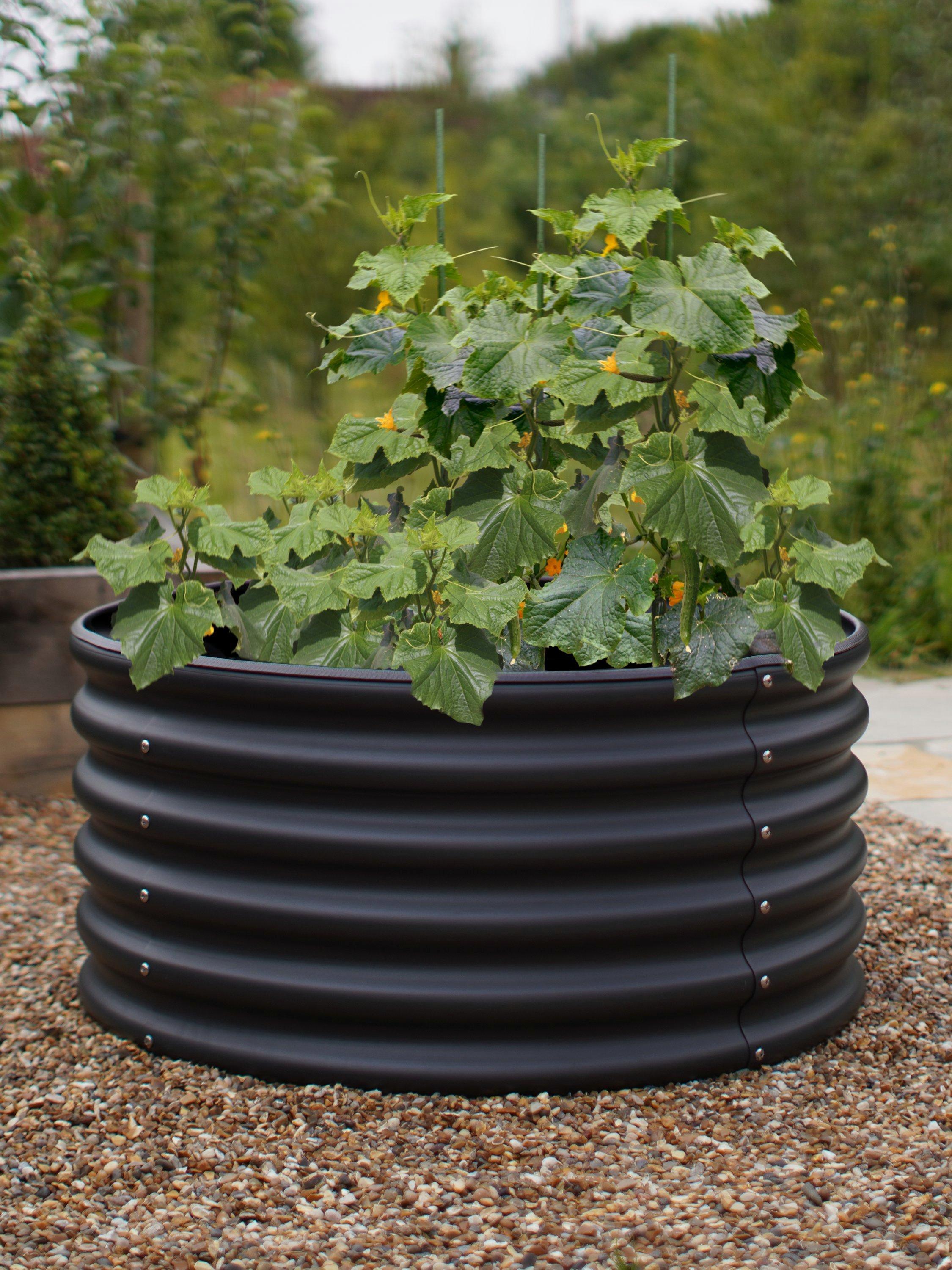 VegTrug VegTub Hochbeet Pflanzgefäß 92cm - Britisches Produkt