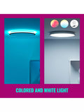 WiZ Smart LED Rune dual zone tunable white ceiling light 40cm - British product