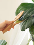 Kikkerland Bamboo Leaf Cleaning Tongs Neutral, UK version